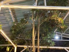 -瑞丰园庭院餐厅·白族传统家常菜