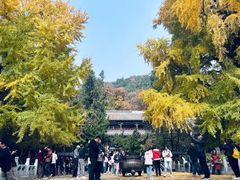 -潭柘寺景区