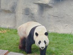 -上海野生动物园