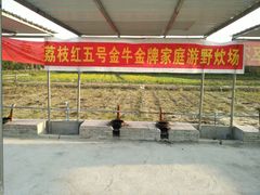 -荔枝红五号农庄