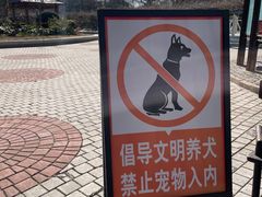 -嘉定紫藤园