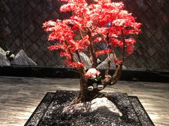 -红辣椒·川菜·火锅(大洋中心店)