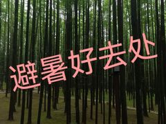 -山王坪喀斯特国家生态公园