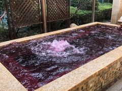 -春晖园度假酒店温泉