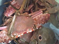 -浪琴湾尾角仔海鲜坊