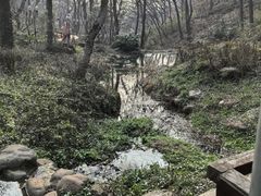 -句容茅山景区
