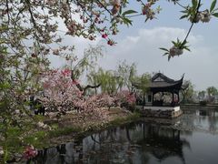 -无锡蠡湖国家湿地公园-蠡园