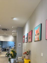 -洗脸猫·洗脸吧