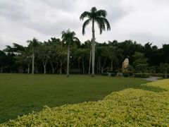 -万绿园