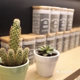 休闲时光，轻松下午茶