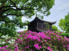 -惠山古镇·寄畅园