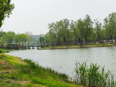 -东郊湿地公园