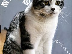 -蓝天射箭馆·专业射箭运动(诚丰广场店)