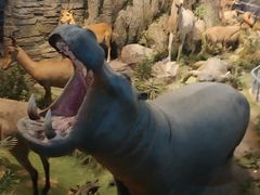 -陕西自然博物馆