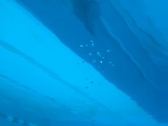 -上海潜殿潜水中心