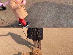 -汉长安城未央宫国家考古遗址公园