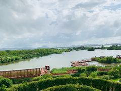 -芒洲湿地公园