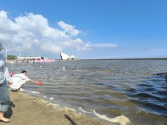 -碧海金沙