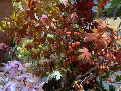 -BEAST野兽派(上海浦东嘉里城店)