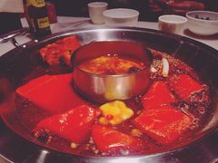 -孙毛肚火锅(春熙路店)