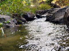 -广州神农草堂中医药博物馆