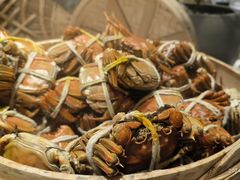 -太湖饭店玉兰厅(自助餐厅)