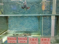-东国海鲜火锅城(氹仔店)