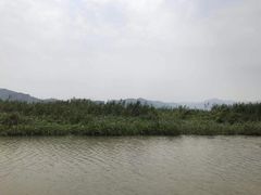 -长兴太湖图影湿地文化园