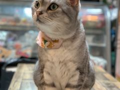 -小时光咖啡馆(北锣鼓巷店)
