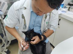 -瑞派动物医院·猫专科·至诚(江南中分院)