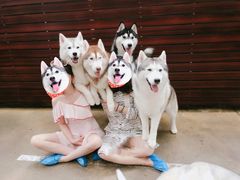 -TrueLove @ Neverland (Husky Cafe)
