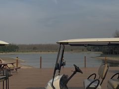 -崇明东平国家森林公园烧烤房车露营地