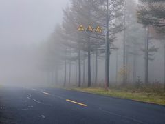 -塞罕坝国家级自然保护区