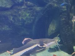 -泉城欧乐堡海洋极地世界