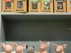 -WHEN PIGS FLY当猪飞