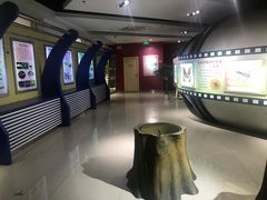 -上海昆虫博物馆