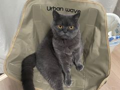 -pd派德宠物中心医院24H急重症·眼科中心·血液透析中心(嵩山北路店)