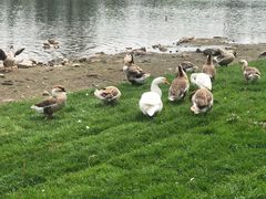 -长春市南湖公园