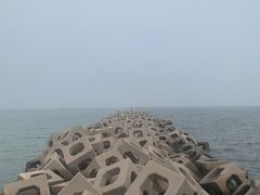 -东疆建设开发纪念公园
