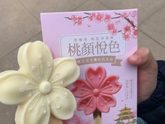 -桃花堤公园