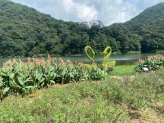 -广州市石门国家森林公园