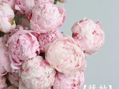 -花邻FloweringLife花艺气球派对(武康大楼店)