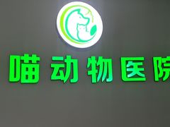 -汪喵宠物医院·骨科心脏影像·犬猫急重症ICU诊疗中心(成华分院)