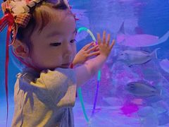 -沈阳海洋探索中心