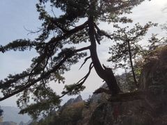 -尧山风景区