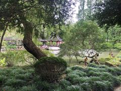 -上海醉白池公园