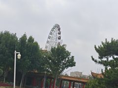-商丘市人民公园