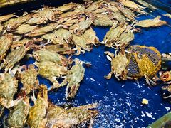 -高佳庄·舟山海鲜(海景旗舰店)