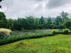 -贵阳市花溪国家城市湿地公园