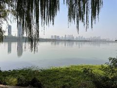 -金银湖国家城市湿地公园